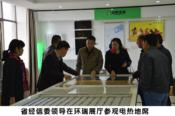 省經(jīng)信委領(lǐng)導(dǎo)來環(huán)瑞考察3 省經(jīng)信委領(lǐng)導(dǎo)來環(huán)瑞考察3