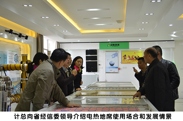 省經(jīng)信委領(lǐng)導(dǎo)來環(huán)瑞考察4 省經(jīng)信委領(lǐng)導(dǎo)來環(huán)瑞考察4