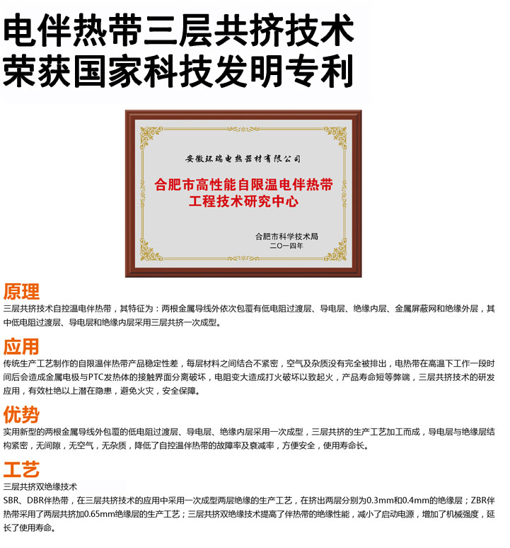 專利技術(shù) 專利技術(shù)