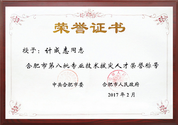 合肥市第八批專業(yè)技術拔尖人才 合肥市第八批專業(yè)技術拔尖人才